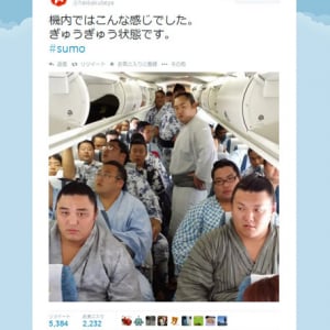 「ぎゅうぎゅう状態です」相撲取りで満載の飛行機の機内画像をアップ　八角部屋のツイートが話題