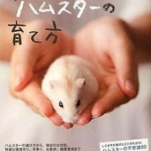 【どっちのミカタ？】ハムスター釣り ６割 動物虐待