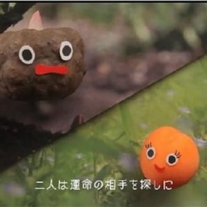 アプリコットとこんにゃくの運命の出会い・・・胸キュンのコマ撮りムービー