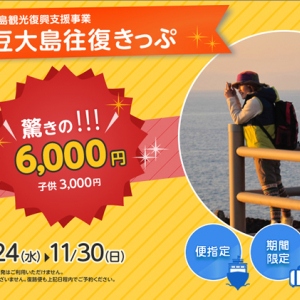 伊豆大島へ往復たった6,000円！ 気軽に遊びに行けちゃう！ 安すぎて衝撃を受ける価格