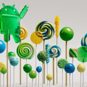 Google、Android新バージョン“Android 5.0（Lollipop）”を正式発表、Nexus 5 / 7 / 10はアップデート確定、Android SDKは10月17日にリリース予定（更新）