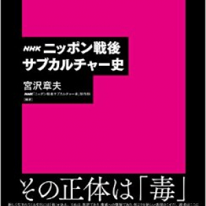 サブカルチャーとは一体何なのか？