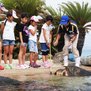 冬休みはこれで決まり！“鴨川シーワールド”が海の生き物たちと触れ合える「ウインタースクール」を期間限定で開校