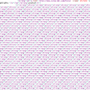 北朝鮮の公式サイトに異常な数のstrongタグ！　その数872個