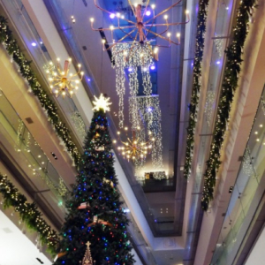 【表参道ヒルズ】 音楽と光の祭典が楽しめる！　高さ8メートルのクリスマスツリーが登場