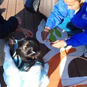 「海」とふれあい、成長していく“海育”って？横浜・八景島シーパラダイスで親子で生き物の不思議を学べるイベント開催