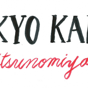 宇都宮初のサーキット型イベント〈TOKYO KAIDO’15〉開催決定