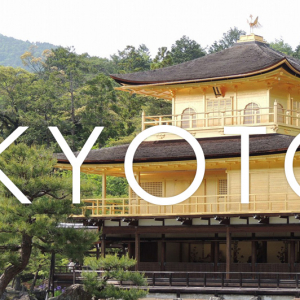 これは取得したい！ドメイン名に .KYOTO（京都）が新たに使用可能になりました！