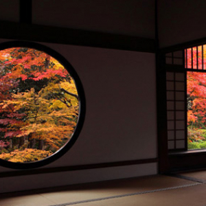 感動そして涙すら…京都 源光庵が伝える季節の移ろいに日本の四季の美を再実感！