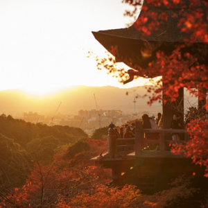 美しすぎる！清水寺がTumblrで発信してる写真ギャラリーが美麗でステキ