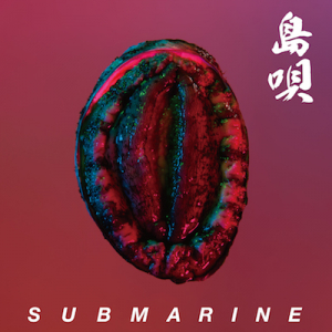 SUBMARINEが三浦康嗣プロデュースの新作リリース、いとうせいこう絶賛の楽曲フル公開も