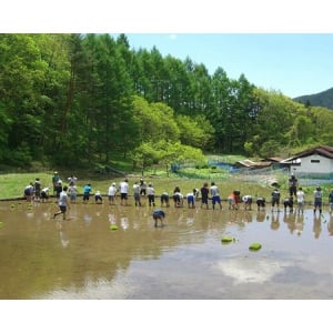 稲作で都市も農村も元気にしよう!!農村おこしプロジェクト“シェアパディ”って？