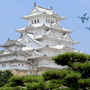 姫路城の上空でブルーインパルス祝賀飛行が行われます！姫路城の修復完了を記念して