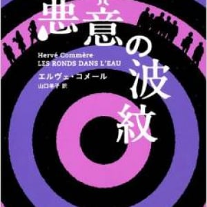 予断のできないフランス・ミステリー『悪意の波紋』