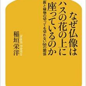 仏像がハスの花の上に座っている理由とは？