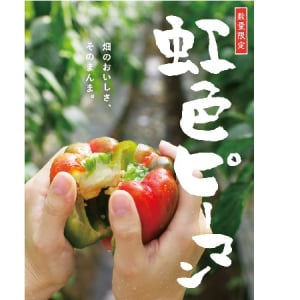 農家のみぞ知る、幻の「虹色ピーマン」が発売。甘味が強く丸かじりできる畑のおいしさを試してみて！