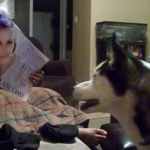 【動物動画】ジュリア・ロバーツが怖い犬