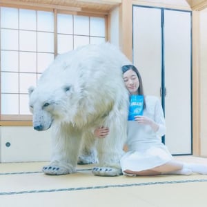 声優 南條愛乃がシロクマに癒される♡ HALLSがシロクマを無料宅配