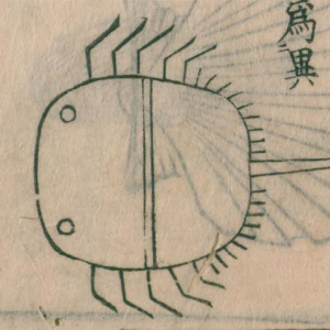 ゆるすぎる！江戸時代の古文書に描かれたカブトガニが超絶ゆるキャラ！