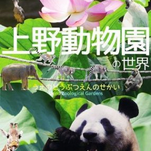 「動物園」という言葉を作ったのは？