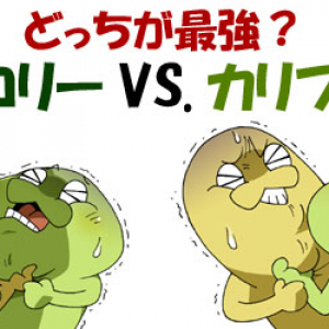 ブロッコリー VS. カリフラワー全面戦争！　あなたはドッチが好き？