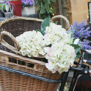 週替わりのブーケを自転車でお届け！ロンドンのユニークな花屋さん「Petalon」