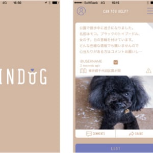 迷子犬をみんなで捜索！地域でペットを守るアプリ「FINDOG」